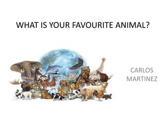 WHAT IS YOUR FAVOURITE ANIMAL?



                         CARLOS
                        MARTINEZ
 
