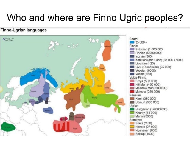 What is your favourite Finno Ugric food