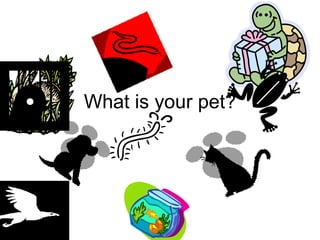 What is your pet?
 