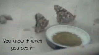 You know it when
you See it
 