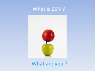 What is ZEN ? What are you ? 