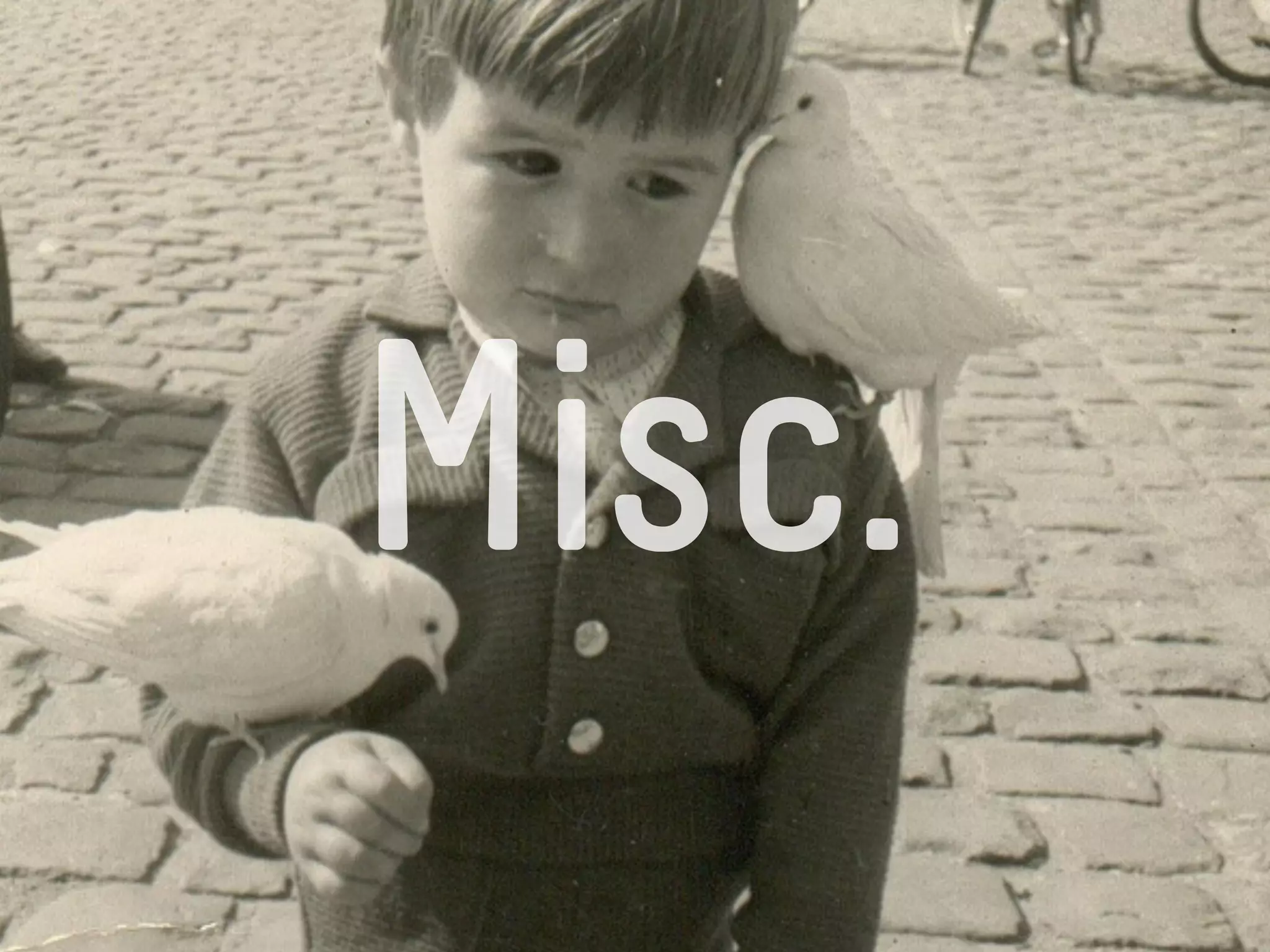 Misc.