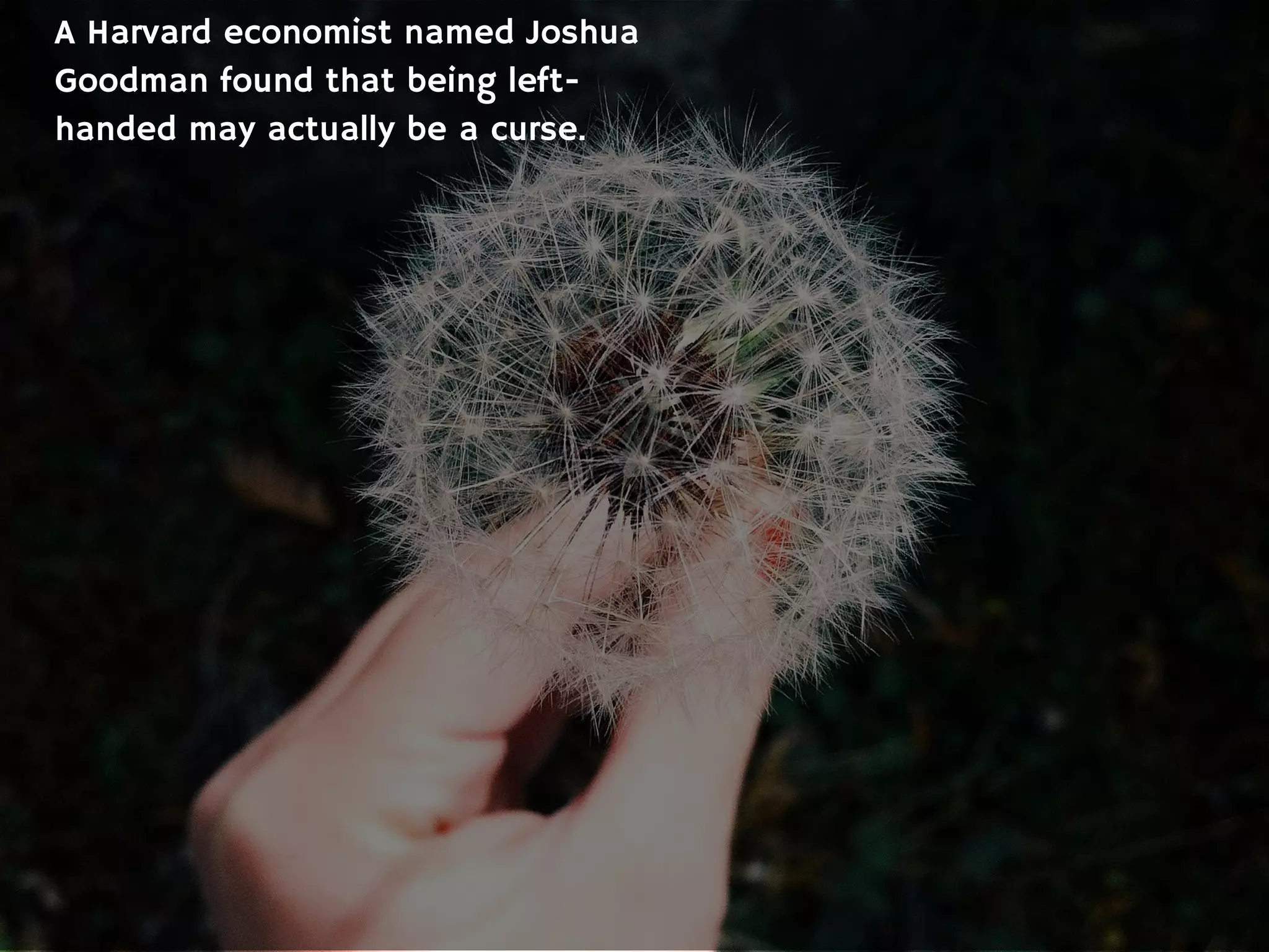 A Harvard economist named Joshua
Goodman found that being left-
handed may actually be a curse.
 