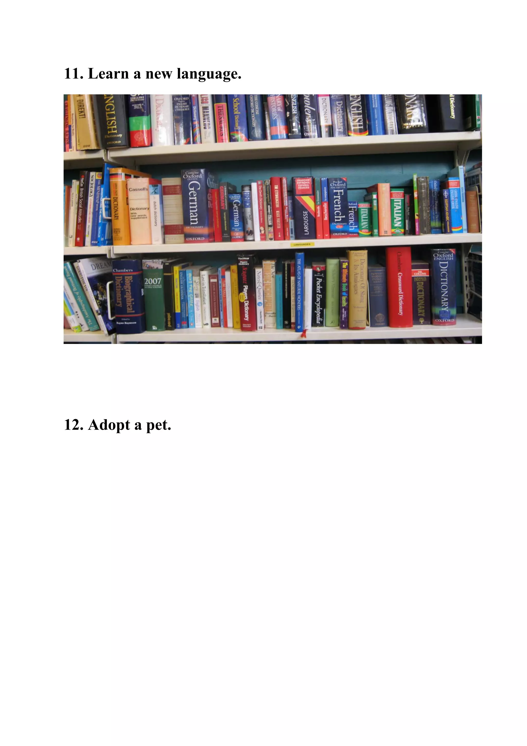 11. Learn a new language.
12. Adopt a pet.
 