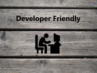 Developer Friendly
 