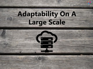Adaptability On A
Large Scale
 
