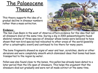 The Palaeocene
Theory.
This theory supports the idea of a
gradual decline in dinosaur numbers
rather than a mass extinction.
Evidence:
The San Juan Basin in the west of America offers evidence for the idea that not
all dinosaurs died at the same time. During a dig in 2001 palaeontologists found
skeletal remains of three species of dinosaur whose bones were believed to have
shown that non-bird species had relocated to other areas of the world (possibly
after a catastrophic event) and continued to live there for many years.
The bone fragments showed no signs of wear and tear, scratches, dents or other
abrasions and were completely smooth which dismissed ideas that bones had been
transported to the region by water.
Pollen was also found close to the bones, this pollen has already been dated to a
later period than the life span of dinosaurs. This helps the argument that the
dinosaurs died out gradually and were not all made extinct at the same time.

 