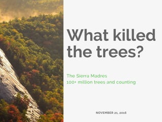 What killed
the trees?
The Sierra Madres
100+ million trees and counting
NOVEMBER 21, 2016
 