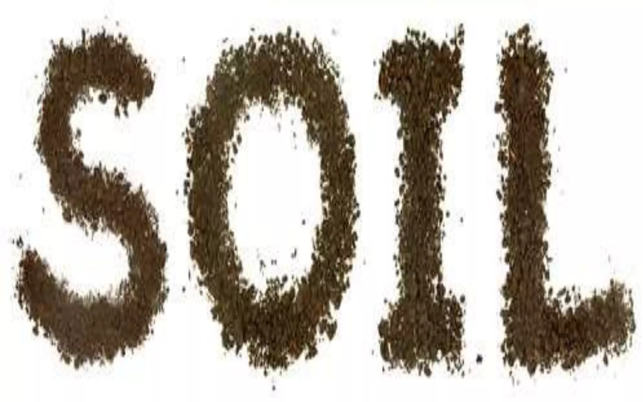 What kind of soil are you?