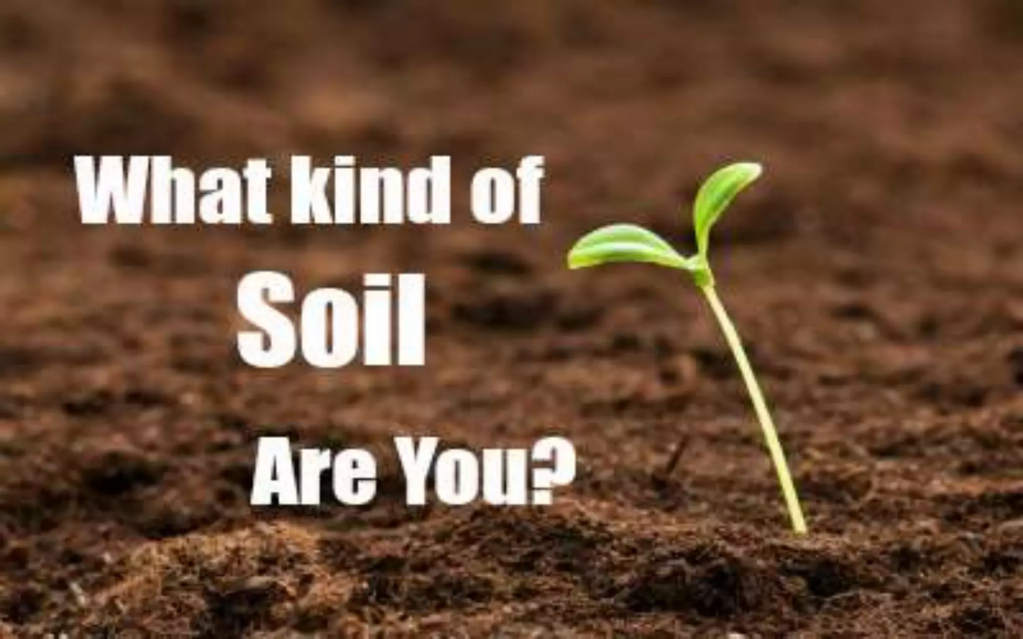 What kind of soil are you?