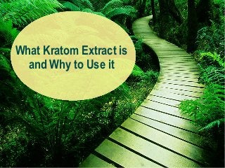 What Kratom Extract is
and Why to Use it
 