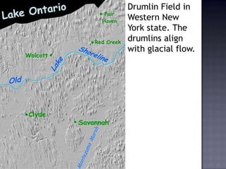 Drumlin Field in
Western New
York state. The
drumlins align
with glacial flow.
 