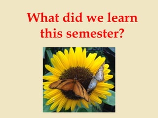 What did we learn
this semester?

 