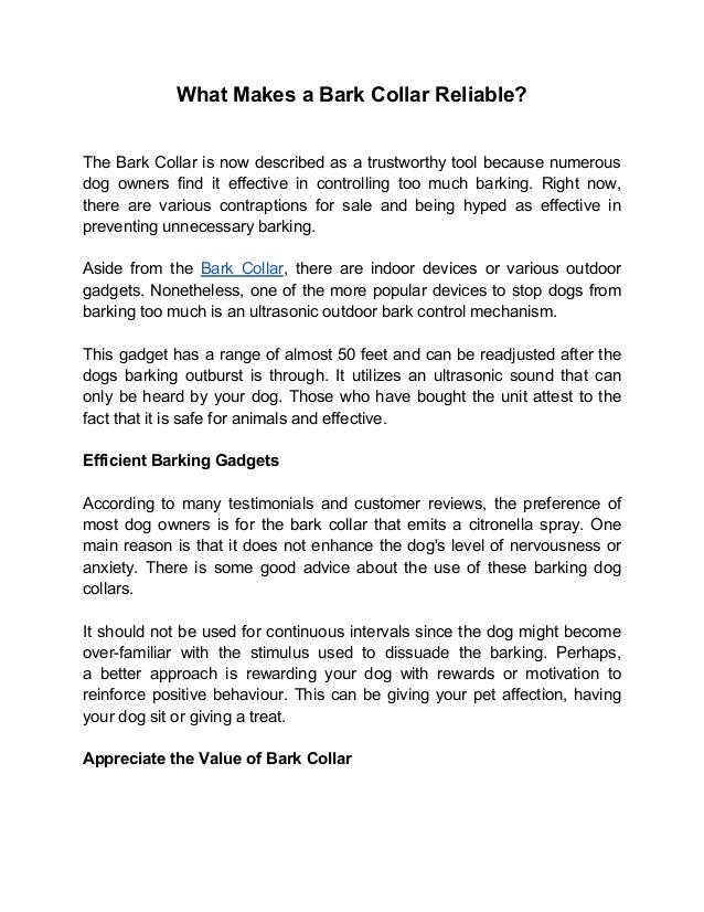 What Makes a Bark Collar Reliable
