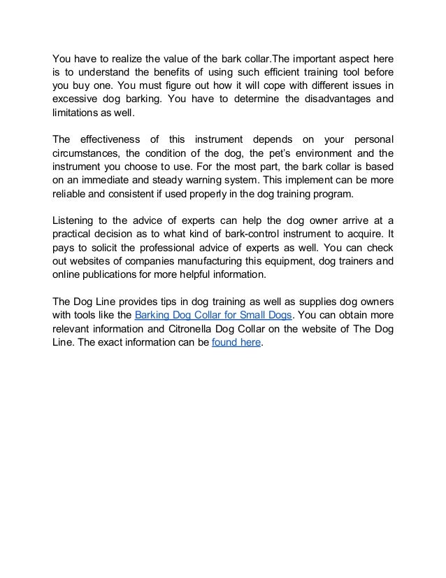 What Makes a Bark Collar Reliable