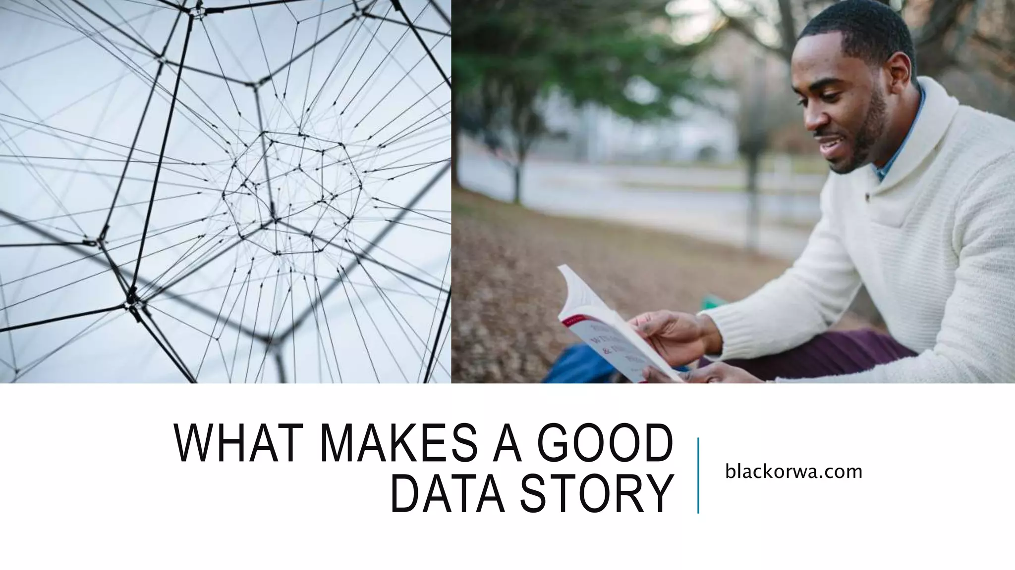 WHAT MAKES A GOOD
DATA STORY
blackorwa.com