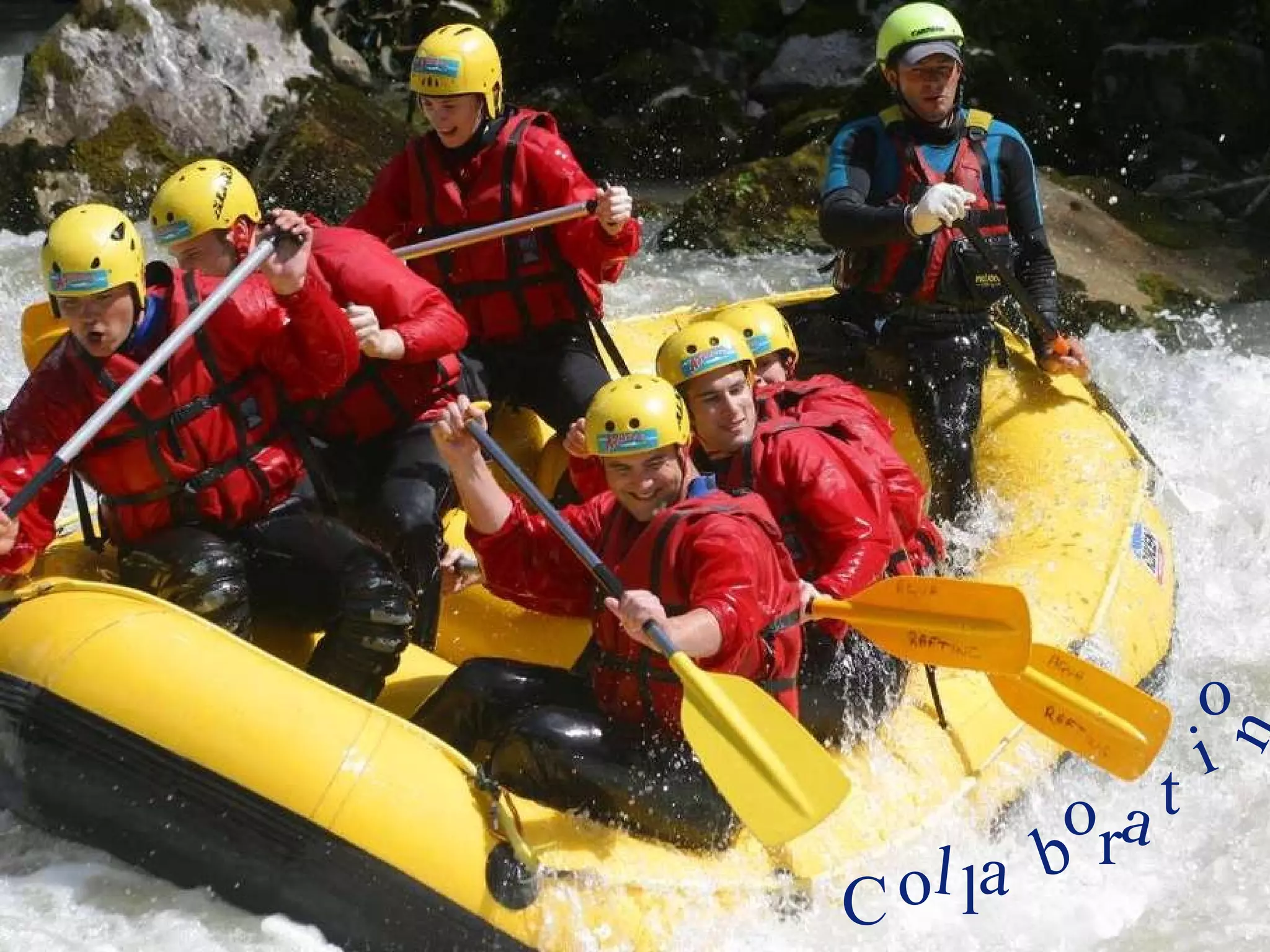 C o l l a b o r a t i o n 