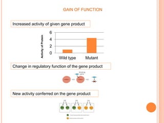 GAIN OF FUNCTION
Increased activity of given gene product
Change in regulatory function of the gene product
New activity conferred on the gene product
0
2
4
6
Wild type Mutant
ActivityofProtein
 
