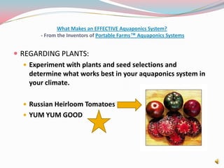 What Makes an EFFECTIVE Aquaponics System? - From the Inventors of Portable Farms™ Aquaponics SystemsREGARDING PLANTS:Experiment with plants and seed selections and determine what works best in your aquaponics system in your climate.Russian Heirloom TomatoesYUM YUM GOOD   