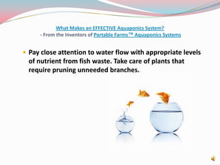What Makes an EFFECTIVE Aquaponics System? - From the Inventors of Portable Farms™ Aquaponics SystemsPay close attention to water flow with appropriate levels of nutrient from fish waste. Take care of plants that require pruning unneeded branches.