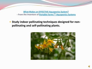 What Makes an EFFECTIVE Aquaponics System? - From the Inventors of Portable Farms™ Aquaponics SystemsStudy indoor pollinating techniques designed for non-pollinating and self-pollinating plants. 