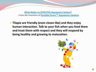What Makes an EFFECTIVE Aquaponics System? - From the Inventors of Portable Farms™ Aquaponics SystemsTilapia are friendly (even clown like) and they enjoy human interaction. Talk to your fish when you feed them and treat them with respect and they will respond by being healthy and growing to maturation.