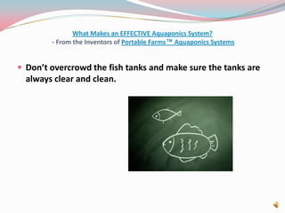What Makes an EFFECTIVE Aquaponics System? - From the Inventors of Portable Farms™ Aquaponics SystemsDon’t overcrowd the fish tanks and make sure the tanks are always clear and clean.