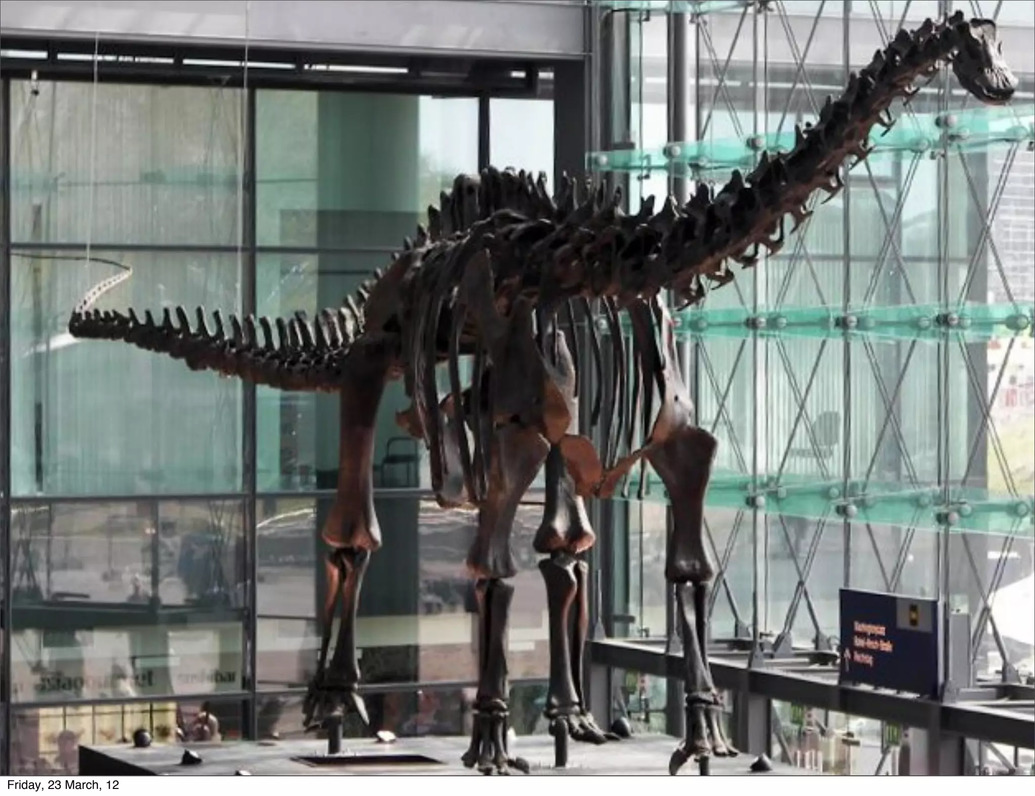 Friday, 23 March, 12
 