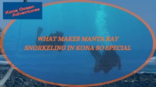 WHAT MAKES MANTA RAY
SNORKELING IN KONA SO SPECIAL
 
