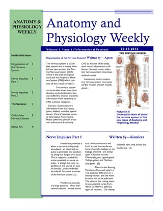 ANATOMY &
PHYSIOLOGY
  WEEKLY
                         Anatomy and
                         Physiology Weekly
                         Volume 1, Issue 1 (Informational Section)                                       10.17.2012
Inside this issue:
                         Organization of the Nervous System!! Written           by— Agron

Organization of      1   The nervous system is a com-           CNS to the rest of the body,
the Nervous              plex system that is mainly divid-      send motor information to ef-
System                   ed into two sections the Cen-          fectors. Somatic motor volun-
                         tral Nervous System (CNS)              tary nervous system: innervates
                         which is the brain and spinal          skeletal muscle
                         cord and the Peripheral Nerv-
Nerve Impulses       1                                             Autonomic motor involun-
                         ous System (PNS) which con-
Part 1                                                          tary nervous system innervates
                         sists of the cranial nerves (1).       cardiac muscle, smooth muscle,
                                    The nervous system          glands .
                         can be broken down into other
Nerve Impulses       2   divisions and sub divisions. Sen-
Part 2                   sory (afferent) division transmits
                         information from periphery to
                         CNS, contains receptors.
The Synapse          2
                           Somatic receives sensory
                         information from skin, fascia,
                         joints, skeletal, muscles, special                                           Picture is ©
                         senses. Visceral receives senso-                                             Get ready to learn all about
Cells of the         3
                         ry information from viscera.                                                 the nervous system in this
Nervous System           Motor (efferent) division trans-                                             new issue of Anatomy and
                         mits information from body                                                   Physiology Weekly!
Reflex Arc           4


                         Nerve Impulses Part 1                                              Written by—Kamiera
                                          Membrane potential is     acid chains snake back and     potential exits only across the
                              when a neuron is adequately           forth across the membrane.
                              stimulated , an electrical im-        Some channels , leakage or no membrane. (2)
                              pulse is generated and conduct-       leakage channels , are always
                              ed along the length of its axon.      open. Channels include :
                              This is response , called the         Chemically gate, Ligand-gated,
                              action potential or nerve im-         Voltage-gated, and Mechani-
                              pulse , is always the same re-        cally gated . (2)
                              gardless of the source or type
                                                                              There is also Resting
                              of stimulus , and it underlies
                                                                    Membrane Potential, which is
                              virtually all functional activities
                                                                    The potential difference in a
                              of the nervous system. (2)            resting neuron and the mem-
                                                                    brane is said to be polarized.
                                                                    The value of the resting mem-
                                        Membrane channels           brane potential varies from -
                              are large proteins , often with       40mV to -90mV in different
                              several subunits , whose amino        types of neurons. The resting



                                                                                                                                     1
 