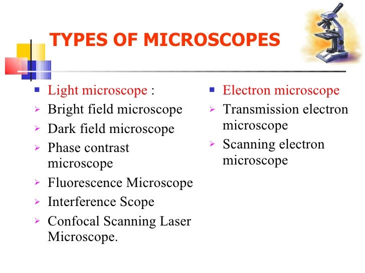 What Makes Microbiology Interesting