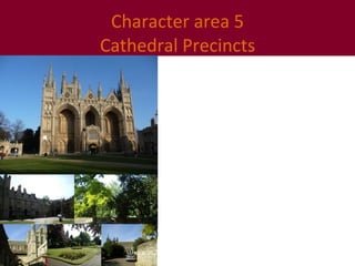 Character area 5 Cathedral Precincts 