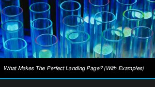 What Makes The Perfect Landing Page? (With Examples)
 