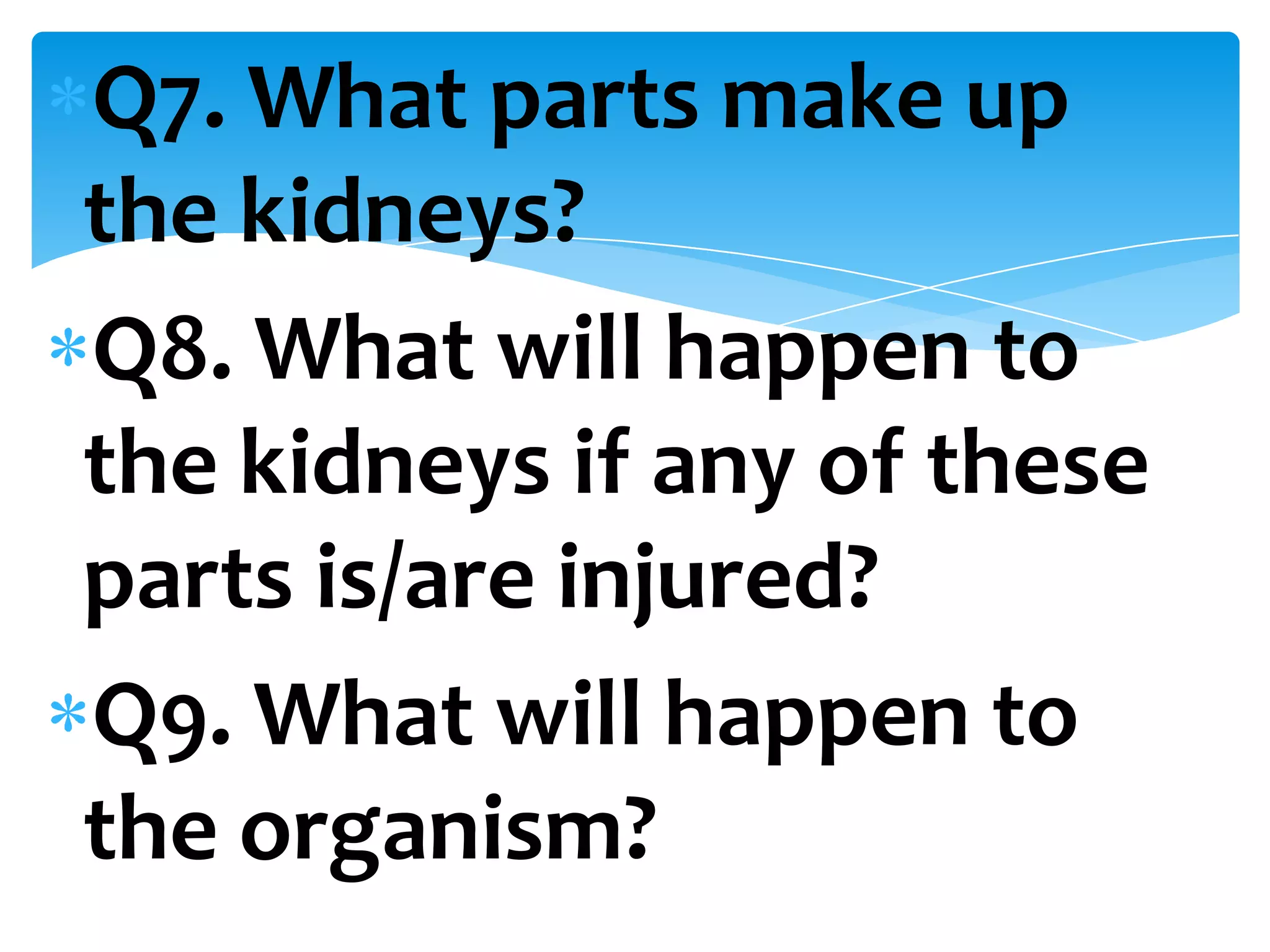 Q7. What parts make up
the kidneys?
Q8. What will happen to
the kidneys if any of these
parts is/are injured?
Q9. What will happen to
the organism?
 