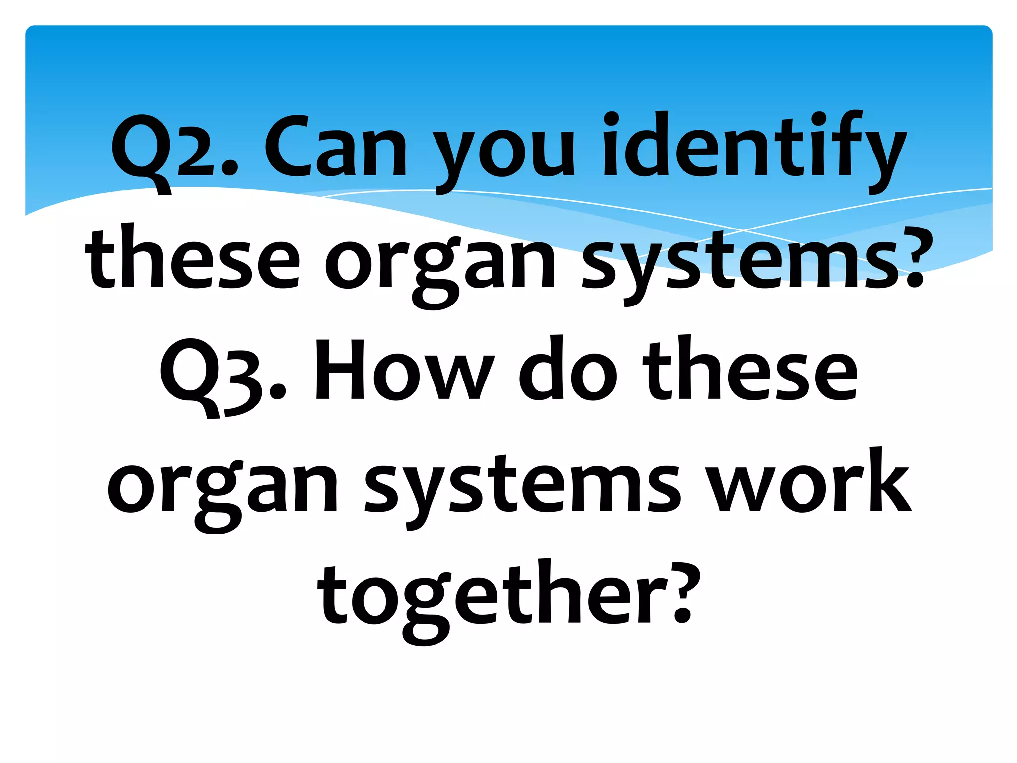 Q2. Can you identify
these organ systems?
  Q3. How do these
 organ systems work
      together?
 