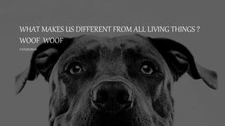 WHAT MAKES US DIFFERENT FROM ALL LIVING THINGS ?
WOOF WOOF
YADUKUMAR
 