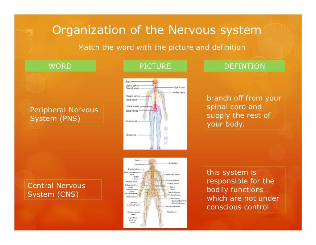 What makes you nervous