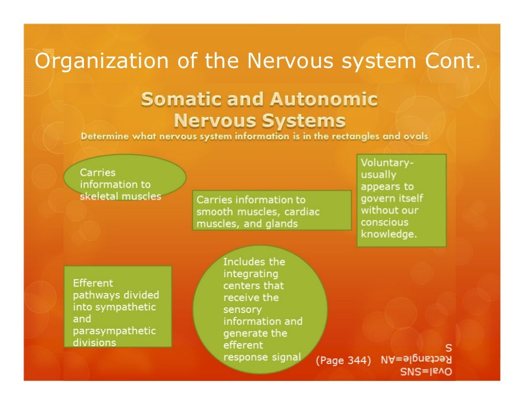 What makes you nervous