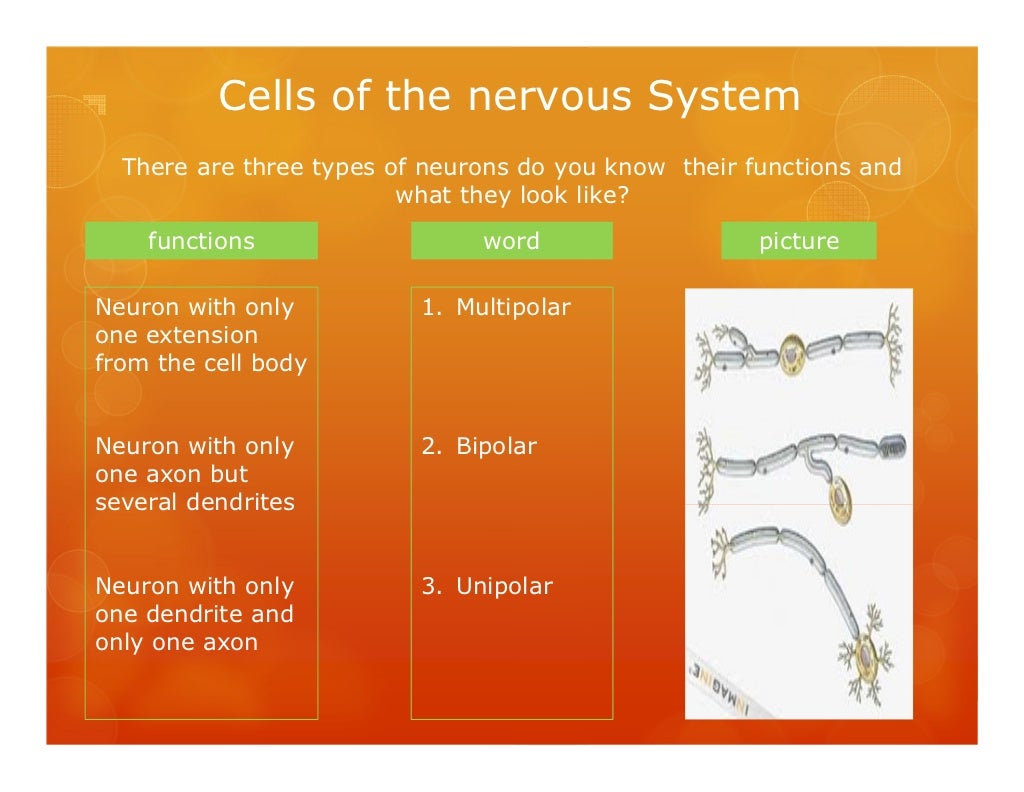What makes you nervous
