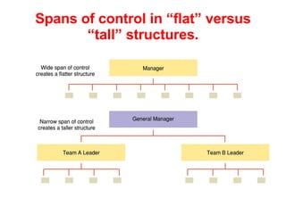 Spans of control in “flat” versus “tall” structures. 