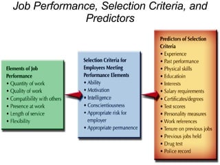 Job Performance, Selection Criteria, and Predictors 