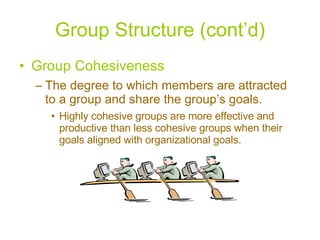 Group Structure (cont’d) Group Cohesiveness The degree to which members are attracted to a group and share the group’s goals. Highly cohesive groups are more effective and productive than less cohesive groups when their goals aligned with organizational goals. 