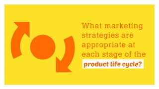 product life cycle?
 