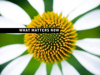 WHAT MATTERS NOW
 