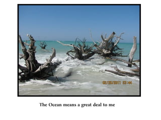 The Ocean means a great deal to me
 