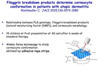 Filaggrin breakdown products determine corneocyte
conformation in patients with atopic dermatitis
Riethmuller C, JACI 2015...