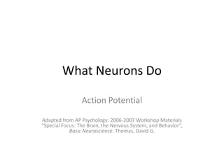 What Neurons Do Action Potential Adapted from AP Psychology: 2006-2007 Workshop Materials “Special Focus: The Brain, the Nervous System, and Behavior”, Basic Neuroscience. Thomas, David G. 