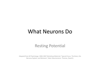 What Neurons Do Resting Potential Adapted from AP Psychology: 2006-2007 Workshop Materials “Special Focus: The Brain, the Nervous System, and Behavior”, Basic Neuroscience. Thomas, David G. 