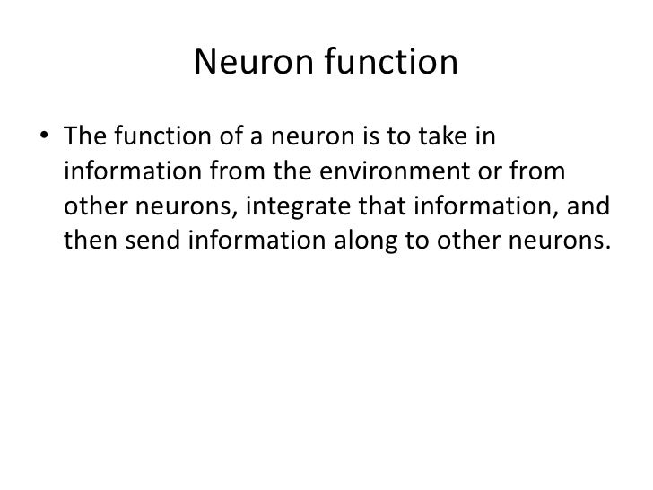 resting potential of a neuron