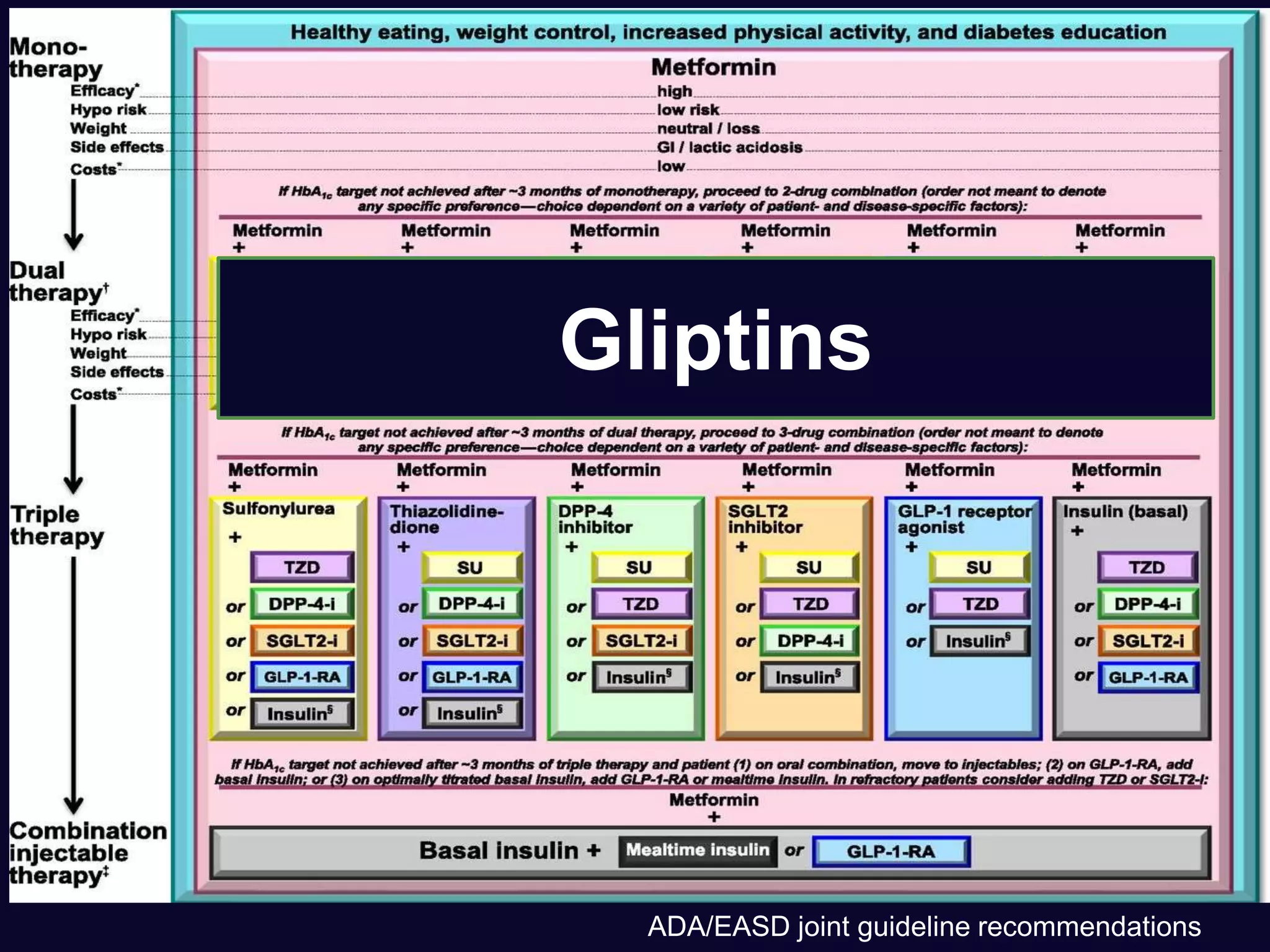Gliptins
ADA/EASD joint guideline recommendations
 